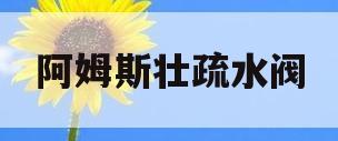 阿姆斯壮疏水阀(阿姆斯壮疏水阀是哪个国家的)