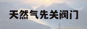 天然气先关阀门(天然气先关阀门还是先关灶台开关)