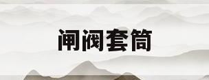 闸阀套筒(闸阀套筒厂家)