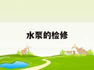 水泵的检修(水泵的检修规程)