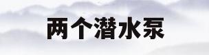 两个潜水泵(两个潜水泵为什么总是一个能工作)