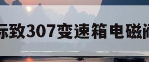 标致307变速箱电磁阀(标致307变速箱电磁阀怎样更换)