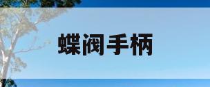 蝶阀手柄(蝶阀手柄安装方向必须向上)