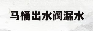 马桶出水阀漏水(马桶出水阀漏水怎么解决图片)