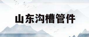 山东沟槽管件(山东沟槽管件喷漆生产线供应商)