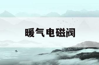 暖气电磁阀(暖气电磁阀门开关示意图)