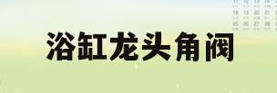 浴缸龙头角阀(浴缸龙头切换阀怎么修理)