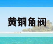 黄铜角阀(加油站黄铜角阀)
