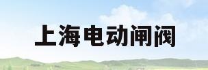 上海电动闸阀(上海电动闸阀型号)