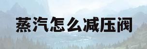 蒸汽怎么减压阀(蒸汽减压阀如何安装图)