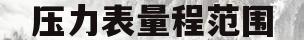 压力表量程范围(电接点压力表量程范围)