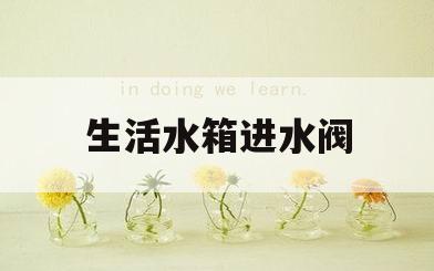 生活水箱进水阀(生活水箱进水阀有几种类型图片)