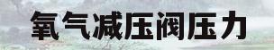氧气减压阀压力(氧气减压阀压力多少)