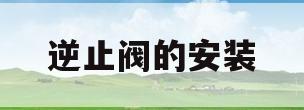 逆止阀的安装(逆止阀的安装方法视频)
