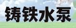 铸铁水泵(铸铁水泵和不锈钢水泵哪种好)