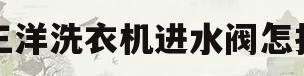 三洋洗衣机进水阀怎拆(三洋洗衣机进水阀怎拆卸图解)