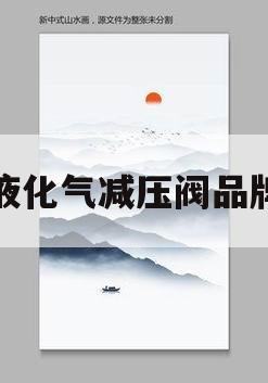 液化气减压阀品牌(液化气减压阀品牌 知乎)