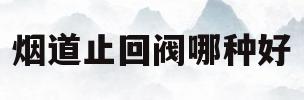 烟道止回阀哪种好(烟道止回阀装在哪个部位)