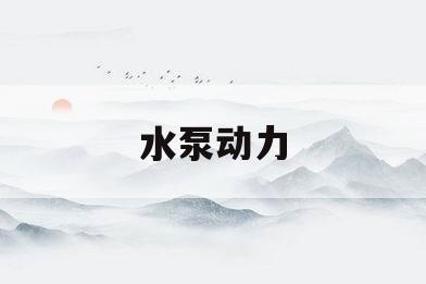 水泵动力(水泵动力匹配)