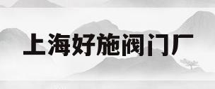 上海好施阀门厂(上海好施阀门厂家)