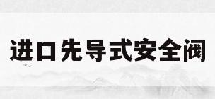 进口先导式安全阀(先导式安全阀内部结构)