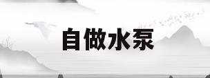 自做水泵(自做水泵视频)