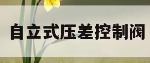 自立式压差控制阀(自立式压差控制阀可不可以竖着装)