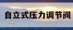 自立式压力调节阀(氮气自力式压力调节阀)