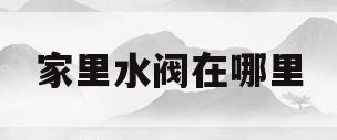 家里水阀在哪里(家里面的水阀开关在哪里)