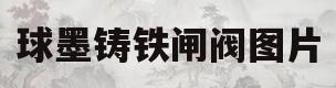 球墨铸铁闸阀图片(球墨铸铁闸阀图片高清)
