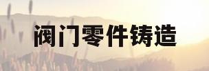 阀门零件铸造(阀门零件铸造完后机加)