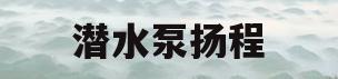 潜水泵扬程(潜水泵扬程变小怎么回事)