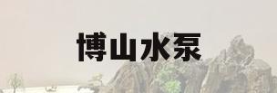 博山水泵(博山水泵机械厂)