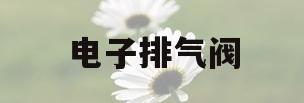 电子排气阀(电子排气阀门怎么手动开)