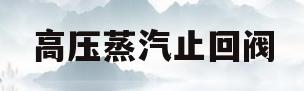 高压蒸汽止回阀(蒸汽止回阀型号规格大全)