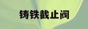 铸铁截止阀(铸铁截止阀漏水怎么维修)