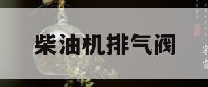 柴油机排气阀(柴油机排气阀在哪里)