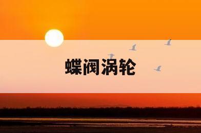 蝶阀涡轮(蝶阀涡轮驱动头拆开图)