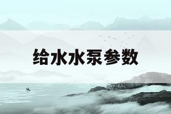 给水水泵参数(给水泵主要性能参数)