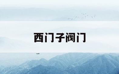 西门子阀门(西门子阀门定位器说明书)
