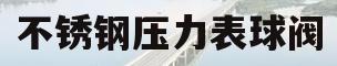不锈钢压力表球阀(安全型不锈钢压力表)