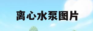 离心水泵图片(离心水泵图片大全大图)