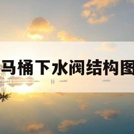 马桶下水阀结构图(马桶下水阀结构图解)