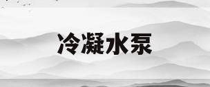 冷凝水泵(冷凝水泵价格)