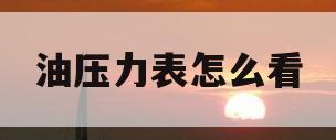油压力表怎么看(油压力表怎么看压力值)