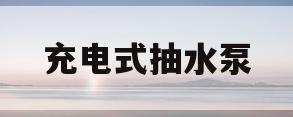 充电式抽水泵(充电式抽水泵一次性抽多久)