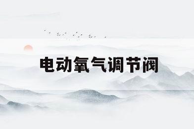 电动氧气调节阀(氧气调节阀使用方法)