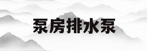 泵房排水泵(泵房排水泵的流量和静扬程怎么考虑)