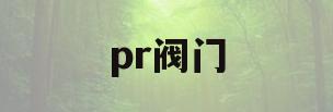 pr阀门(pr阀门改装)