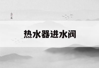 热水器进水阀(热水器进水阀图片)